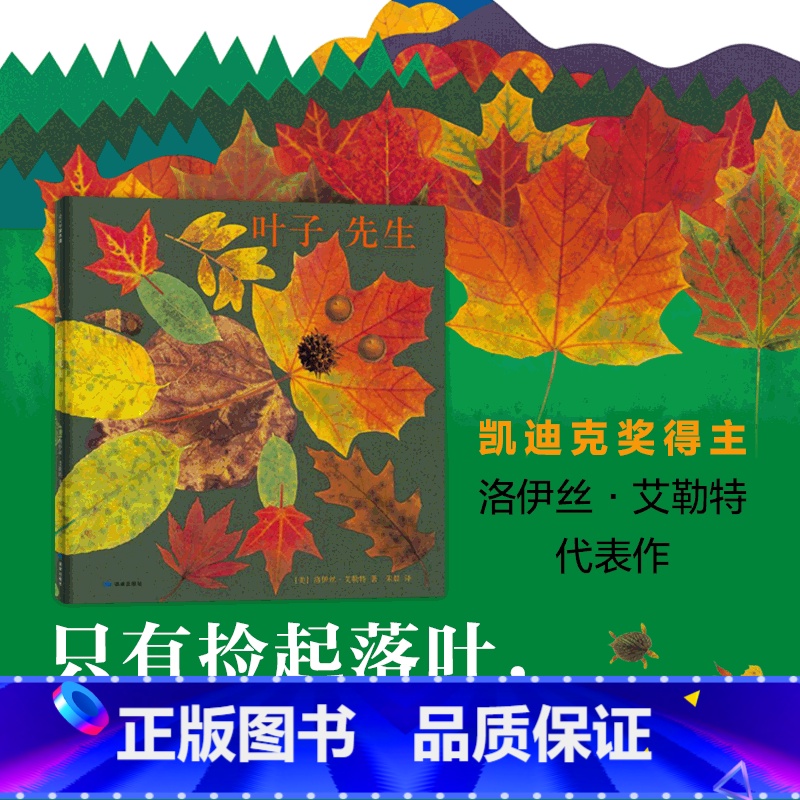 [正版] 叶子先生(精) 艺术绘本 大自然 手工创作 手工作业 凯迪克大得主 美国国家户外图书 童书书店书籍