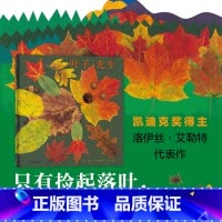 [正版] 叶子先生(精) 艺术绘本 大自然 手工创作 手工作业 凯迪克大得主 美国国家户外图书 童书书店书籍