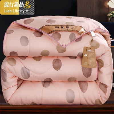 加厚被子10斤冬被丝棉被芯太空调被春秋双人冬季冬天保暖秋冬棉被 三维工匠