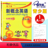 名师导练 1A+B (青少版) 小学通用 [正版]子金传媒新概念英语青少版同步练全入门级A+B测试卷阶段巩固练习册1