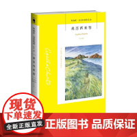 桑苏西来客 2版 阿加莎 克里斯蒂 著 小说