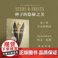 种子的隐秘之美 微距摄影呈现种子震撼人心的美