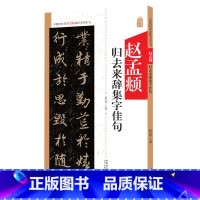 [正版]赵孟頫归去来辞集字佳句 中国历代名碑名帖集字系列丛书 陆有珠 毛笔字帖书法临摹碑帖古帖 附简体旁注点评概述 安