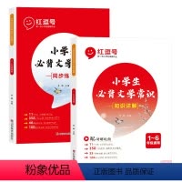 [全套2册]知识详解+同步练习 小学通用 [正版]小学生必背文学常识大全注音版一二三四五六年级语文基础知识归纳大全人教版