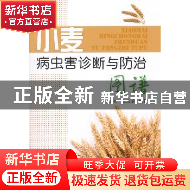 正版 小麦病虫害诊断与防治图谱 商鸿生,王凤葵编著 金盾出版社