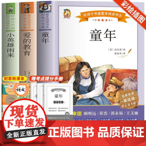预售 《小英雄雨来》《童年》《爱的教育》 美绘版(全3册) 管桦 等 著 儿童文学少儿 正版图书籍 黑龙江少年儿童出版