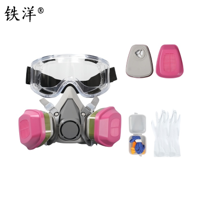 铁洋 呼吸防护面罩 TY-HX019 套