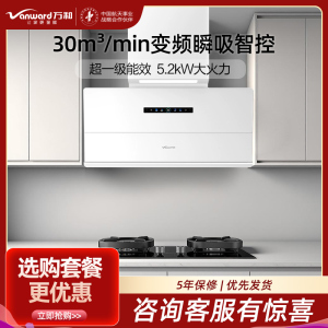 万和(Vanward)30m³顶侧双吸烟机WB895Z1+JZT-G6L50 5.2KW燃气灶天然气灶具家用烟灶套装