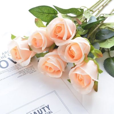 含苞香槟色 6支装品牌:月销:00评价好评￥24