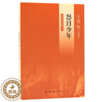 [醉染正版]怒目少年 回忆录四部曲之二 王鼎钧 著 散文 文学 生活·读书·新知三联书店 美术
