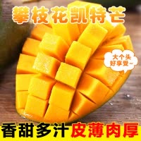 [西沛生鲜]精选攀枝花凯特芒 净重5斤 中果 单果250g左右 当季新鲜 热带水果 坏果包赔