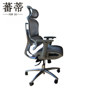 蕃蒂