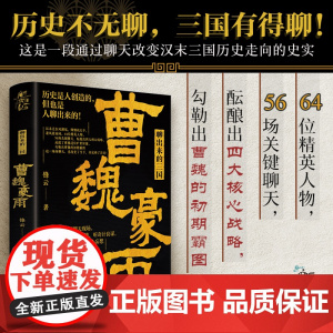 新史纪丛书·聊出来的三国:曹魏豪雨 64位后汉精英 56场关键聊天 观三国纷 锋云 化学工业出版社 正版书籍