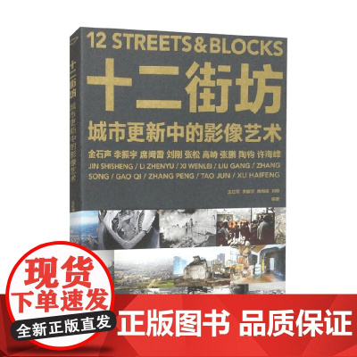 十二街坊 城市更新中的影像艺术 王红军等 著 民间艺术