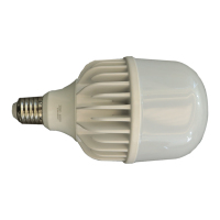 倬屹(ZHUOYI)FZY0168 LED灯泡 15W