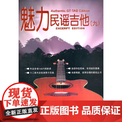 魅力民谣吉他(九)