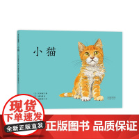 小猫 石井桃子 横内襄 亲子 安全意识 日本小学一年级教材 日本学校图书馆协会选书 好奇心 探索 成长 安全感 爱心树童