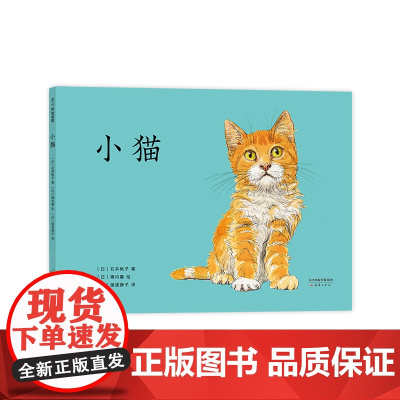 小猫 石井桃子 横内襄 亲子 安全意识 日本小学一年级教材 日本学校图书馆协会选书 好奇心 探索 成长 安全感 爱心树童