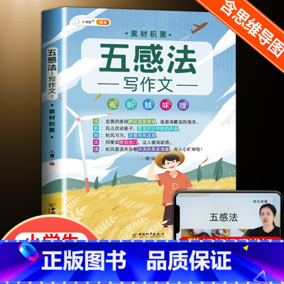 [3~6年级]五感法(素材积累) 小学通用 [正版]小学生五感法扩句法修辞法镜头法顺序法作文方法大全