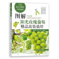 正版新书]图解阳光玫瑰葡萄精品栽培杨治元中国农业出版社978710