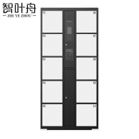 智叶舟智能储物柜人脸识别10门850*460*1800mm台