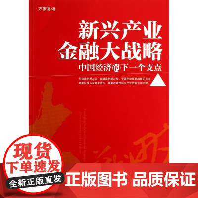 新兴产业金融大战略(中国经济的下一个支点)