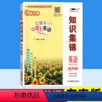 英语(有声版) 小学通用 [正版]小学知识集锦英语 有声版 小学生英语辅导复习资料 培优宝典一至六年级英语知识大全 中小