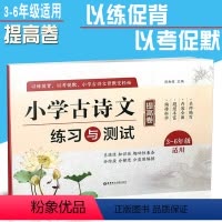 [正版]小学古诗文练习与测试 提高卷 3-6年级适用 小学3-6年级古文训练文言文课外练习测试辅导参考书籍