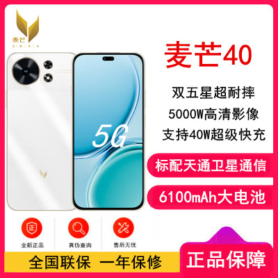 [全新]华为智选 麦芒40 冰川白 12GB+256GB 全网5G 40W快充 5000W高清影像 麦芒40门店全国联保