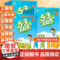 2025新53天天练二年级上册一年级下册三四五六年级上五三同步训练全套语文数学英语练习册测评卷小学人教版苏教北师大北京小