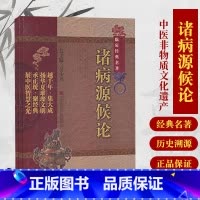 [正版]诸病源候论(中医非物质文化遗产临床经典名著)(隋)巢元方 诸病源候总论巢氏病源病因证候学专著中医临床诊疗入门基