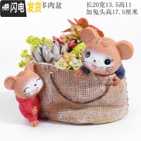 三维工匠大号口径多肉花盆创意个性简约现代卡通可爱精致小动物兔松鼠摆件 加大号松鼠多肉盆 中等花盆容器