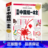 [正版] 图解中国结一本全 轻松编制手链项链耳坠等挂饰中国结物件 中国结绳编织DIY书 收录了几百种中国结的制作方法步