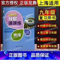 物理 九年级/初中三年级 [正版]学校分层课课练 物理 九年级复习用书 /9年级 上海版 含答案
