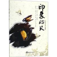 正版新书]印象贻贝宋文东9787521001426