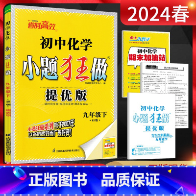 化学 九年级下 [正版]2024春恩波教育提优版初中化学九年级下册人教版RJ 初三9年级化学九下同步课时训练辅导资料练习