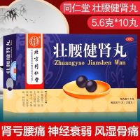 [3盒半月装]同仁堂 壮腰健肾丸 5.6g*10丸/盒 壮腰健肾 养血 祛风湿 肾亏腰痛 膝软无力 风湿骨痛 神经衰弱
