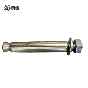 洋蝲蝲 膨胀螺栓 M10*100 单位:个