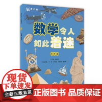 [正版]数学令人如此着迷 历史篇 数学科普书 数学科普与知识点应用相结合 综合运用知识解决实际问题 万物皆有数学