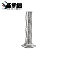 圣承启 螺杆 M6*55 个(M6*55)