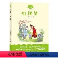 红楼梦 [正版]阅美寒假五年级标准书目必读 快乐读书吧五年级下红楼梦 曹雪芹著 小学生名家经典快乐阅读系列 长江少年儿童