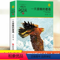 一只猎雕的遭遇 [正版]狼王梦沈石溪动物小说单本原着完整版儿童文学浙江少年儿童出版社7-9-11周岁小学生一年级二年级四