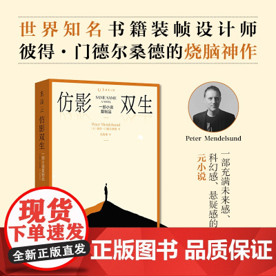 仿影双生:一部小说复制品