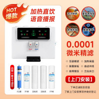 净水器家用直饮ro反渗透自来水600G过滤直饮机纯水机饮水机 智能语音一体机(8寸B10-A)+包安装