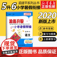 2020孟建平准备升级小学暑假衔接五升六语文5升6暑假衔接教材小学生暑假作业本练习册暑假培训辅导资料书五年级升六年级