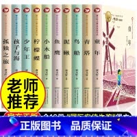 曹文轩儿童文学获奖作品[全套10册] [正版]曹文轩儿童文学获奖作品全套10册小学生课外阅读书籍三四五六年级必读的课外书
