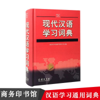醉染图书现代汉语学习词典9787100071024