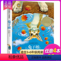 兔子坡 [正版]4本28元胡桃夹子 国际大奖儿童文学小说书籍少儿读物图书7-8-9-10-12岁小学生课外阅读书二三四五