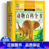 动物百科全书 [正版]四大名着小学生版注音版全套4册 西游记三国演义水浒传红楼梦原着儿童版带拼音青少年版小学生课外阅读书