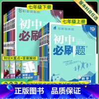 [人教版]语文 七年级下 [正版]初中七年级上册下册初一数学语文英语政治历史生物地理全套人教版北师大湘教版七上同步练习7